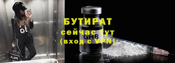гашик Алексин
