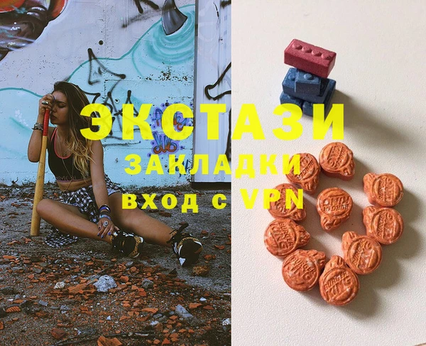 гашик Алексин