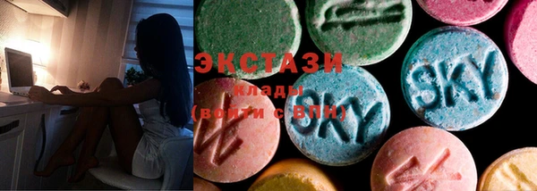 гашик Алексин