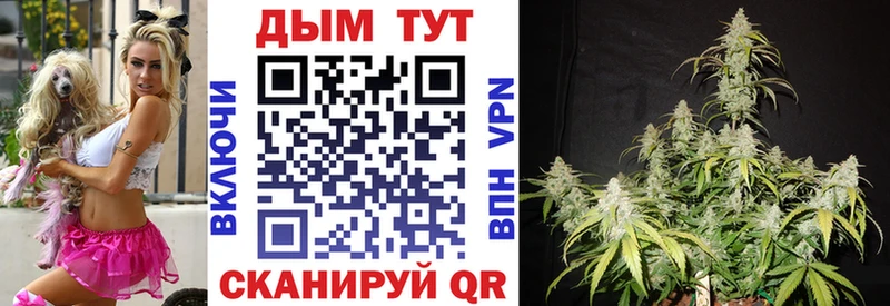 Каннабис LSD WEED  продажа наркотиков  Плавск 